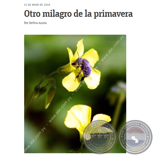 OTRO MILAGRO DE LA PRIMAVERA - Por DELFINA ACOSTA - Sábado, 22 de Mayo de 2010